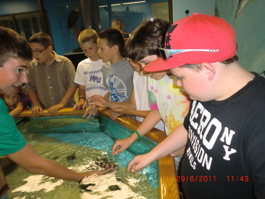 Middle School Summer